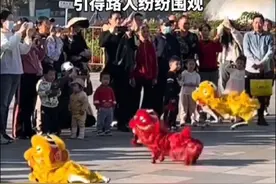 第一次见“赛博舞狮”！机器狗版舞狮表演，引得路人纷纷围观  来源：红星新闻视频封面