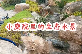 升级版的30平方生态水景 #别墅花园 #庭院设计 #私家花园 #庭院园林造景视频封面