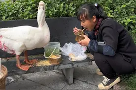 行路难，不在水，不在山，只在人情反覆间。当你风光时，很多人会把你捧上云端，当你落魄时， 千万别指望有人能拉你。因为人心现实本就是趋利避害。#人间烟火 #原创视频 #生活不会辜负每一个努力的人视频封面