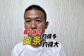钓白条四大技巧，实用靠谱，钓一桶轻松又愉快，缺点就是费油费酒视频封面