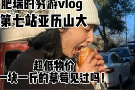 穷游第七站 亚历山大 从土耳其来到了埃及 感觉一下子来到了天堂视频封面
