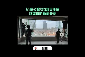 什么样的新房！开荒一天干废了三个吸尘器视频封面