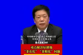 重点解决好耕地“非农化”“非粮化”问题，坚决遏制破坏耕地违法行为，保障耕地优先用于粮食生产 #中央一号文件视频封面