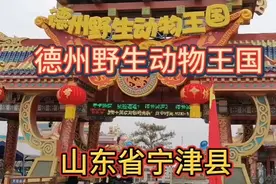 山东省宁津县德州野生动物王国视频封面