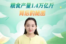 数说“三农”｜粮食产量1.4万亿斤背后的秘密视频封面