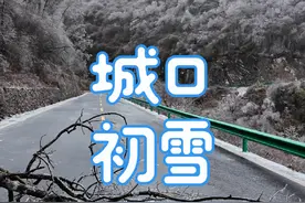 重庆城口青草坪初雪。 （不建议来，路上结冰了）#城口 #青草坪 #初雪 #第一场雪 #重庆视频封面