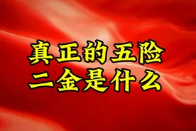真正的五险二金是什么？ #手写文字视频封面