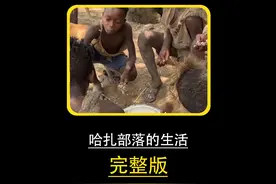 哈扎猎人捕猎巨型山羊，女人把羊肉和羊肚炖在一起，味道十足视频封面