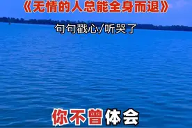 #伤感音乐#无情的人总能全身而退#说不出的或许都在歌里 #歌词句句入心#好歌推荐视频封面