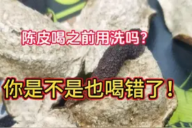陈皮喝之前用洗吗？告诉你陈皮的正确喝法！#新会陈皮 #陈皮视频封面