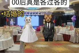 00后真是各过各的#猫meme小剧场 #猫meme #猫猫背景图视频封面