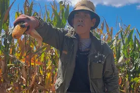 最近农村都在农忙……#农村 #搞笑 #父子视频封面