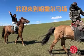 达斡尔族美女草原上策马奔腾！ #上热门话题🔥🔥🔥 #马背上的民族视频封面