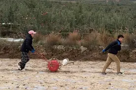 弯腰播种，每一颗麦粒都承载着希望，期待着它们在土地里生根发芽，茁壮成长。#我的乡村生活 #我的农村生活 #种麦子 #麦子 #三农视频封面