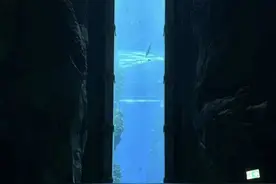 过去的24小时里，我的人生像一部科幻片 #在阿布扎比 #阿布扎比101旅行清单  #阿布扎比不止一夏视频封面