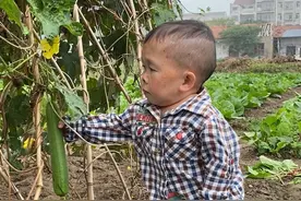 想吃的小伙伴在评论区留言，随机挑选一位幸运的朋友们#吴康 #农村生活视频封面