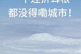 #贵阳 #罚款50 一个连折耳根都没得嘞城市！