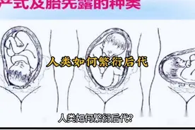 不懂就问，人类如何繁衍后代#冷知识 #科普一下 #人类幼崽视频封面