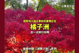 来长沙怎能不去橘子洲？要坐地铁去！感受伟人橘子洲头的豪情壮志视频封面