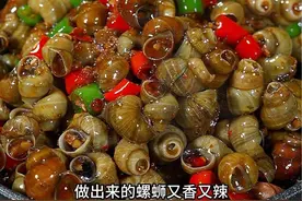 想吃夜宵摊的螺蛳，就像我这样在家做，香辣入味，特别好吃#螺蛳 #香辣田螺 #炒田螺 #紫苏酱视频封面