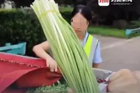 是韭苔不是蒜苔，司机拉蔬菜被收28元过路费引争议，收费员遭网暴无奈回应：嘴长在别人身上，我也没办法控制。当地：正积极争取，早日把韭苔纳入国家绿通目录。