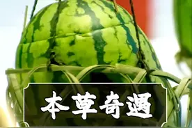 原来世间真的存在不会融化的雪，且跟西瓜结合更能产生奇遇