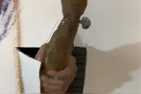 罗曼蒂克的爱情 #罗曼蒂克的爱情视频封面