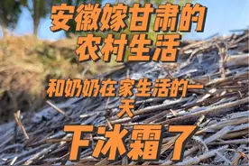 #记录真实生活 #我的乡村生活 #大西北农村 安徽嫁甘肃的农村生活：今天的温度已经零下了，场上的麦草垛也覆盖了冰霜，真有了冬天的样子，灵活的奶奶一大早开始晒柴 留着晚上填炕用。我给宝宝买的东西也陆续到货了，拆箱都是满满的母爱。视频封面