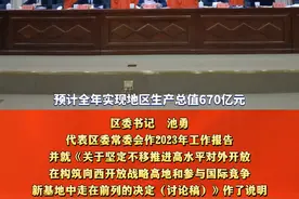 中共成都市青白江区委十二届七次全体会议暨区委经济工作会议召开。#青白江 #经济发展视频封面