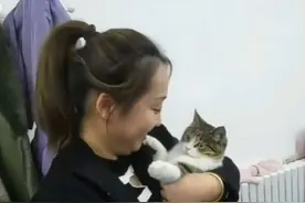 悟空也太受人欢迎了 可爱的悟空，人人都爱 #悟空是只猫视频封面