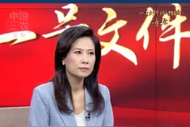 2025年中央一号文件：秸秆精准禁烧 支持综合利用视频封面
