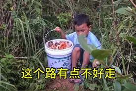 我家的留守儿童，会做饭，会干农活，会捡蘑菇，还没有上一年级#原生态原滋味 #大自然的馈赠视频封面
