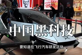 多国领导人纷纷前来围观学习中国黑科技名扬全世界 #飞行汽车#飞行汽车已完成首次城际飞行#腿哥 #按腿哥视频封面