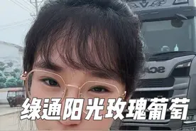 终于拉上我心心念念葡萄了，但是没有吃过瘾。是因为太贵的原因吗#日常vlog #货车司机 #斯堪尼亚