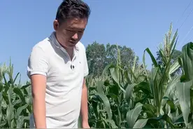 一段穿越时空的对话，说出了数亿人的心声。句句扎心。#老百姓关心的话题 #扎心现实 #食品安全 #社会百态 #共鸣视频封面