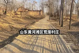 山东黄河滩区废弃的老村庄 人去楼空的老房子 到处是荒凉的景象视频封面