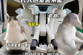 小时候vs长大后听dj戏腔歌 #猫meme #dj #戏腔 #新鲜哥