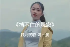 相思有毒，且没解药#陕北民歌#挡不住的思念视频封面