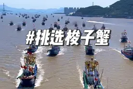 如何挑选梭子蟹 舟山开海了，梭子蟹大量上市，然哥教你如何挑选又肥又好吃的梭子蟹#舟山梭子蟹 #开渔后的首波梭子蟹来了视频封面