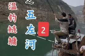 早春低温钓鲢鳙，虽然温度低，但是还是有钓友连杆狂拔#原来钓鱼才是抖音运动顶流 #又到了春天钓鱼的季节 #dou是钓鱼人 #钓鱼王破天鲢鳙 #猛攻淦将视频封面