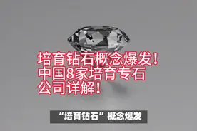 培育钻石概念爆发。中国八家培育钻石公司。详解 #培育钻石概念视频封面