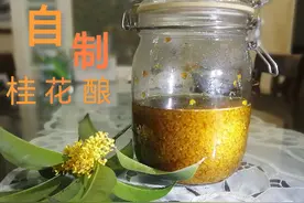 自制桂花酿#桂花酒酿做法视频封面