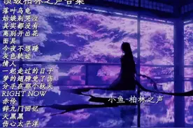 顶级柏林之声合集#开车必备音乐 #顶级旋律 #戴上耳机 #开车歌单视频封面