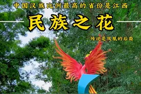 被称为民族之花的畲族，了解一下，传说是凤凰的后裔。#自驾游 #畲族 #少数民族风情视频封面