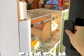 90后不结婚不生娃普通女生的家，会布置成什么样？#逛完我家不种草算我输 #怦然心动家 #哇塞心动家 #roomtour