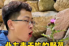 北方春天吃的野菜 实拍北方人春吃过的野菜，你还知道哪些野菜呢？欢迎补充。#又到了吃野菜的季节了 #野菜 #春天的味道视频封面