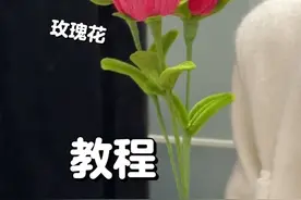 下期教大家百合花～ #手工diy #扭扭棒手工 #扭扭棒玫瑰花 #玫瑰花 #扭扭棒的100种玩法视频封面
