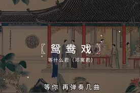 等你 再落下几笔 等你 再弹奏几曲 #降调#鸳鸯戏视频封面