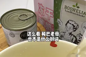 小众罐头的适口性也很小众哈#配粮 #喂猫日记 #新手养猫 #助眠 #抖in萌宠计划视频封面