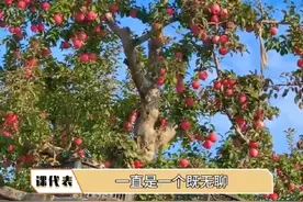 #南北差异 #苹果树 所以到底真的假的呀 南方的朋友现身说法一下视频封面